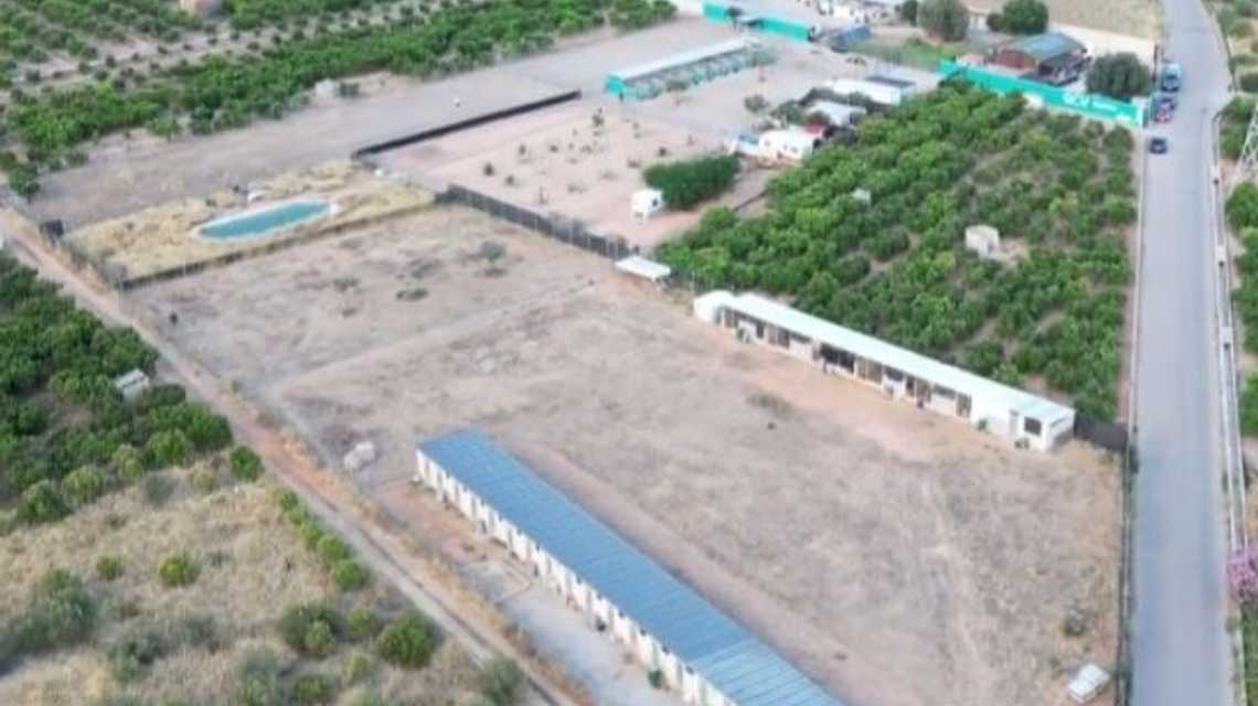 Centro Canino Vila-can | Educación Canina, Residencia y Adiestramiento en Vila-real (Castellón) cover image