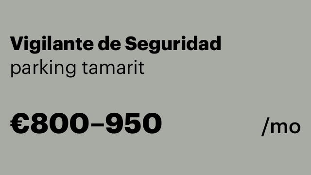 Vigilante de Seguridad