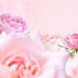 Kipi_ C. avatar icon