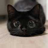 Diana M. avatar icon