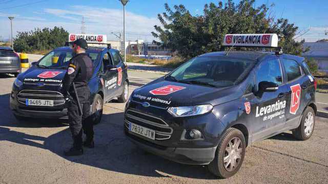 Vigilante de Seguridad