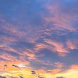 Raquel G. avatar icon