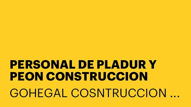 PERSONAL DE PLADUR Y PEON CONSTRUCCION