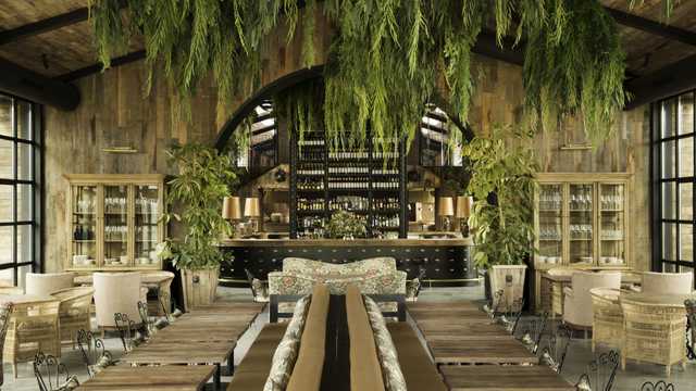 Camarero/a de Restaurante