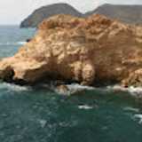 David P. avatar icon