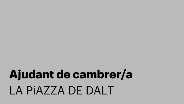 Ajudant de cambrer/a
