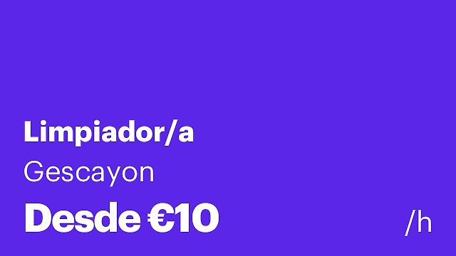 Limpiador/a