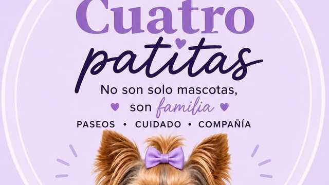 Peluquero canino
