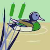 Jose V. avatar icon