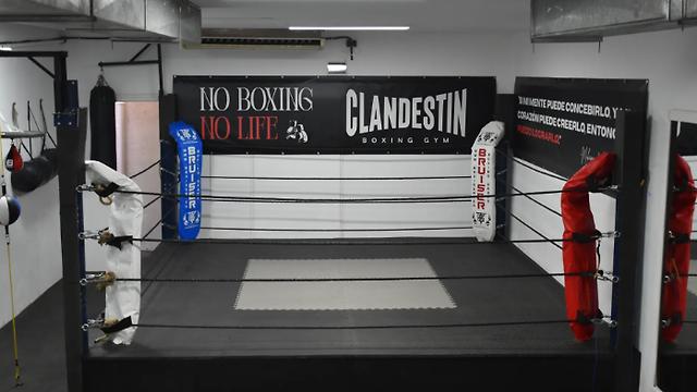 Entrenador de Boxeo