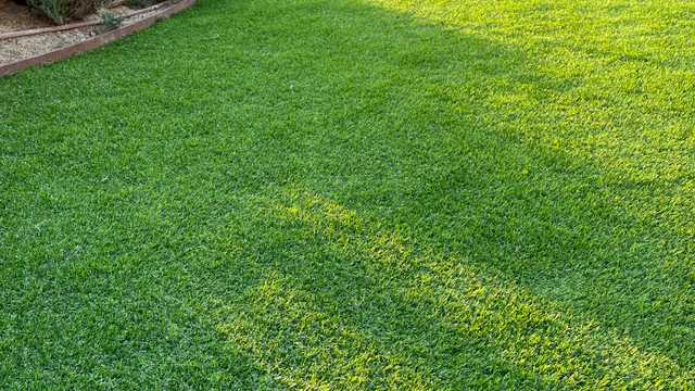 Instalador de césped artificial