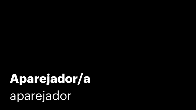 Aparejador/a
