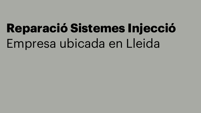Reparació Sistemes Injecció