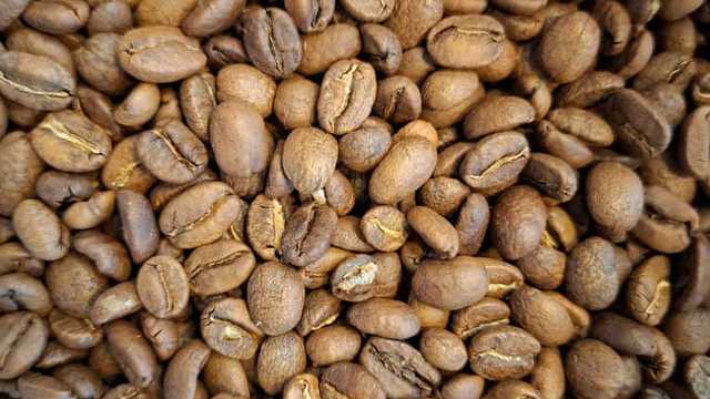 Camarero/a y Barista