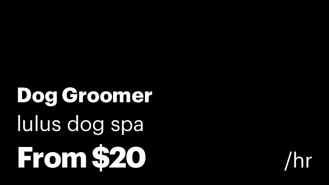Dog Groomer