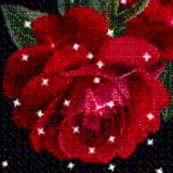 avatar icon