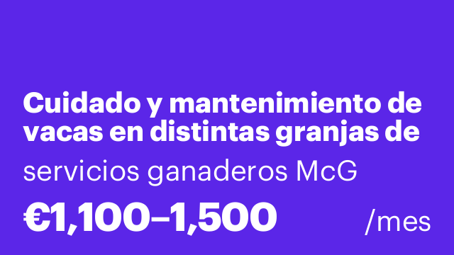Cuidado y mantenimiento de vacas en distintas granjas de la provincia