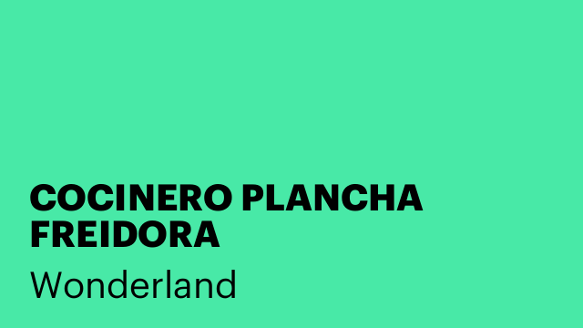 COCINERO PLANCHA FREIDORA