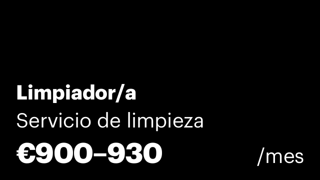 Limpiador/a