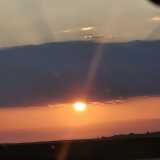 Andrea S. avatar icon