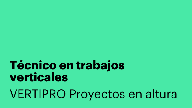 Técnico en trabajos verticales