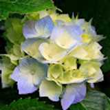 Natalija V. avatar icon