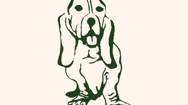 Veterinario/a