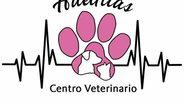 Veterinario/a