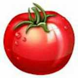 happy T. avatar icon