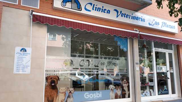Veterinario/a