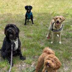 company photo