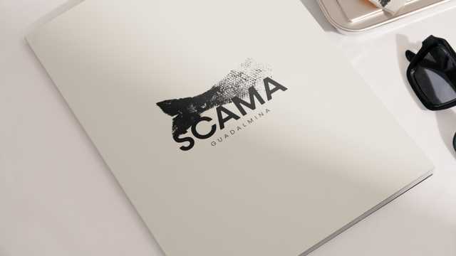 Camarero/a de Sala/Terraza