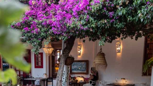 Cocinero Pase y cuarto frío