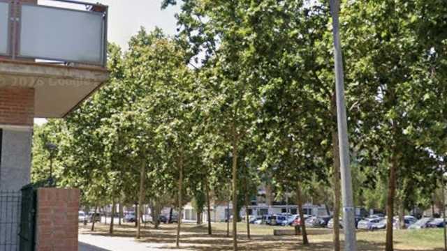 Ayudantr cuidado a mujer mayor asistencia en el hogar