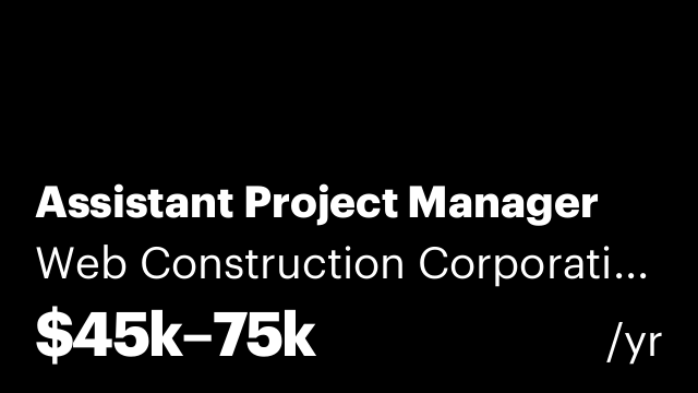 Assistant Project Manager