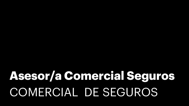 Asesor/a Comercial Seguros