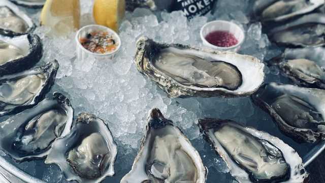 Oyster Shucker