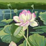 Tecnocasa Parla Reina avatar icon