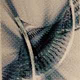 Pablo M. avatar icon