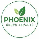 Phoenix G. avatar icon