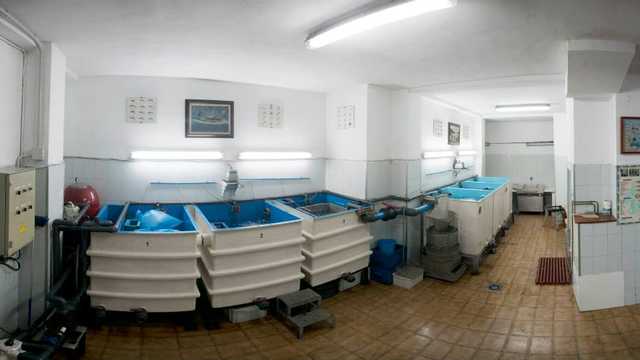 Pescadero