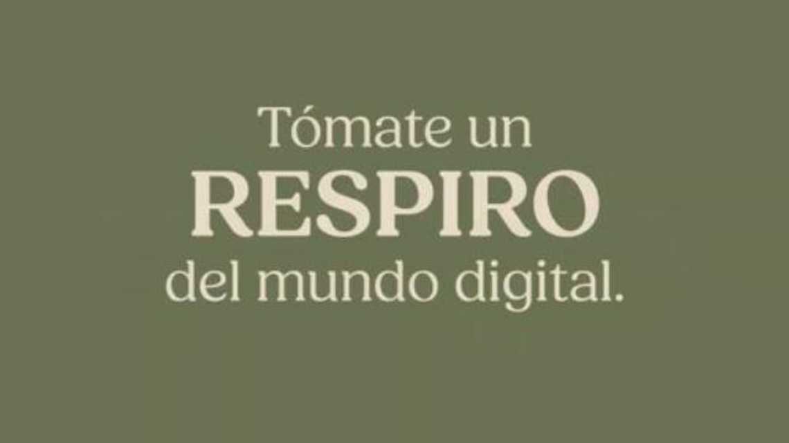 Asociacion cultural raíz y camino cover image