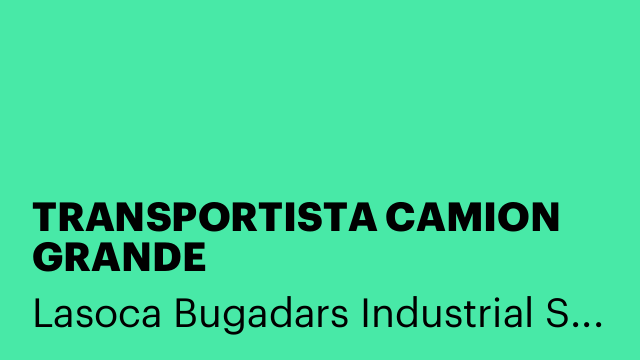 TRANSPORTISTA CAMION GRANDE