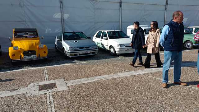 auxiliar de montajes