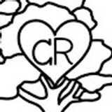 Sonia R. avatar icon