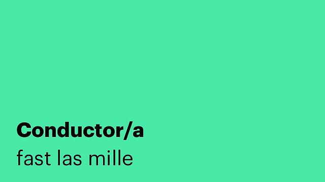 Conductor/a
