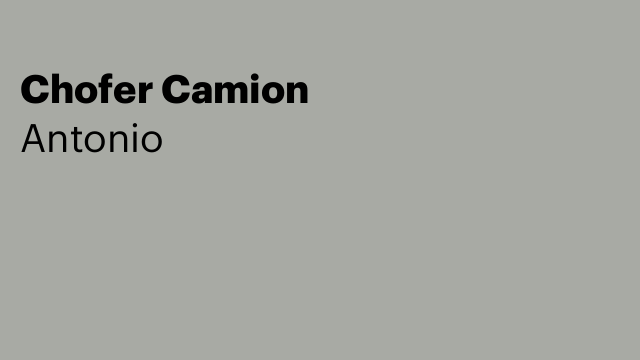 Chofer Camion