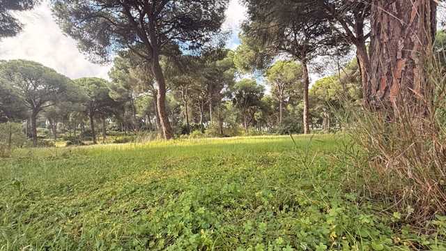 Camarero/a de Sala/Terraza