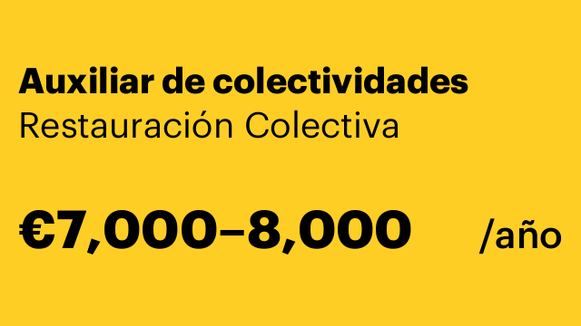 Auxiliar de colectividades