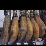 Emilio J. avatar icon